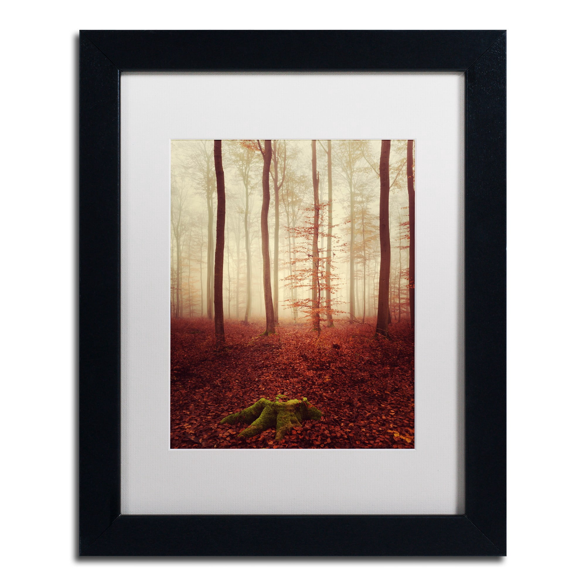 Trademark Fine Art "Land of the Free" Canvas Art by Philippe Sainte-Laudy White Matte, Black Frame