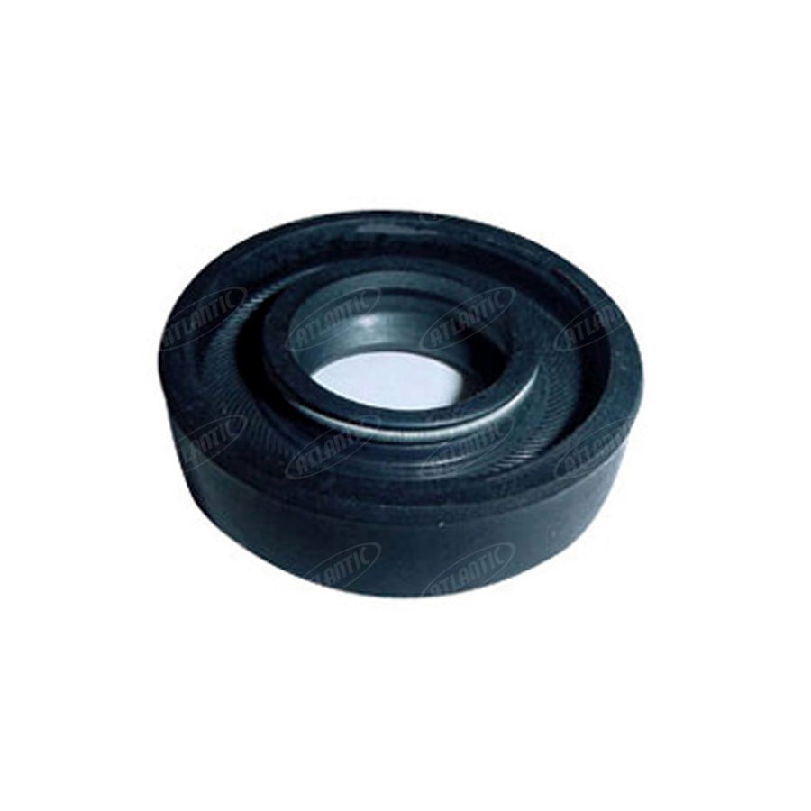 11011163 Hydraulic Pump Shaft Seal
