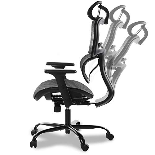 Oline ErgoPro Ergonomic Office Chair Rolling Desk Chair with 3D