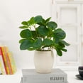 thumbnail image 4 of Mainstays 11-Inch Artificial Peperomia Plant in White Ribbed Glazed Ceramic Pot, 4 of 7