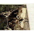 thumbnail image 3 of Woodside Woodland Dream Catcher Multi Oversize Rug, 3 of 3
