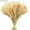 Natural, variant on 100 Stems Dried Wheat Stalks for Decor, 15.7inch Wheat Sheaves Wheat Grass Decor Natural Wheat Bunch Wheat Decor Natural Wheat Stalks Dried Flowers for Home Wedding Table Farmhouse Decor, Natural