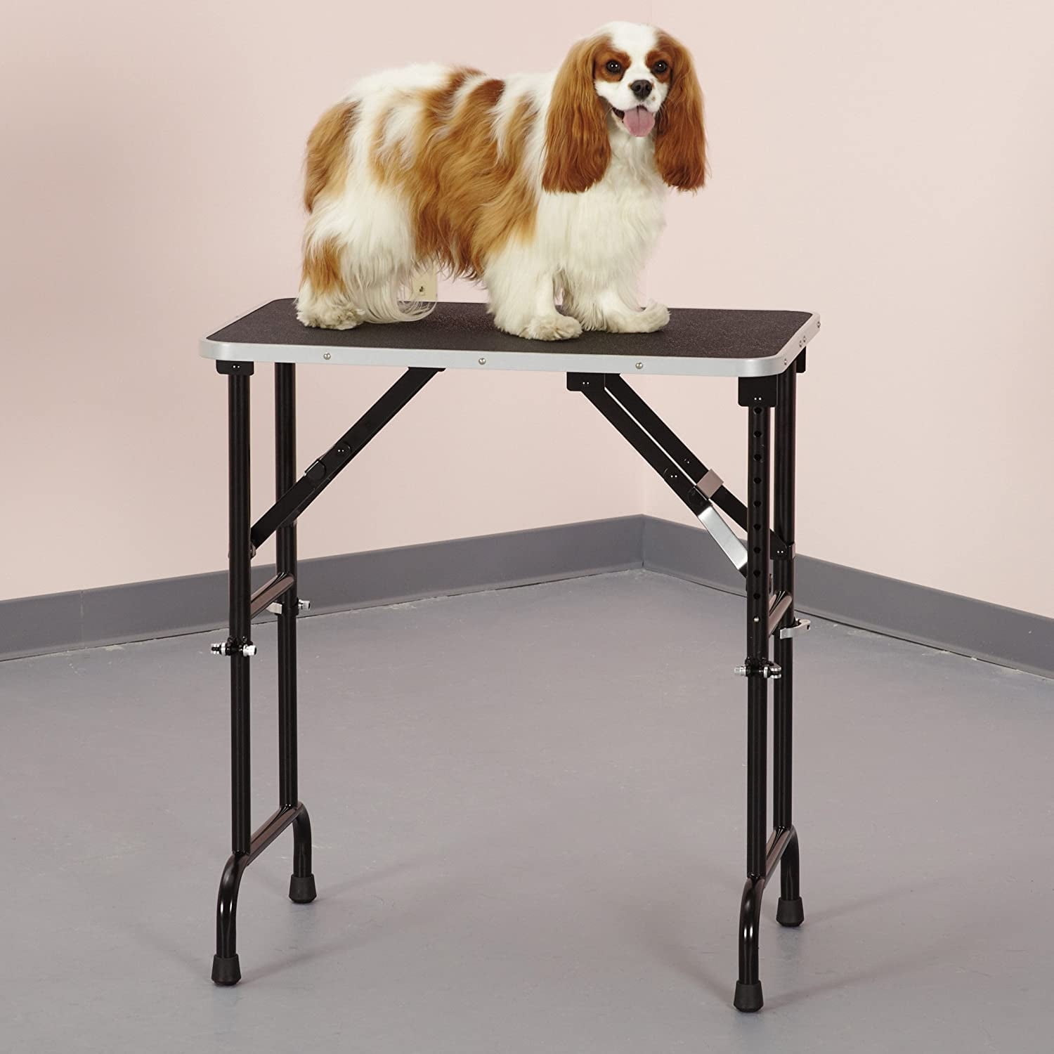 Master Equipment 36 Inch Folding Portable Dog Cat Small Animal Grooming Table Walmart