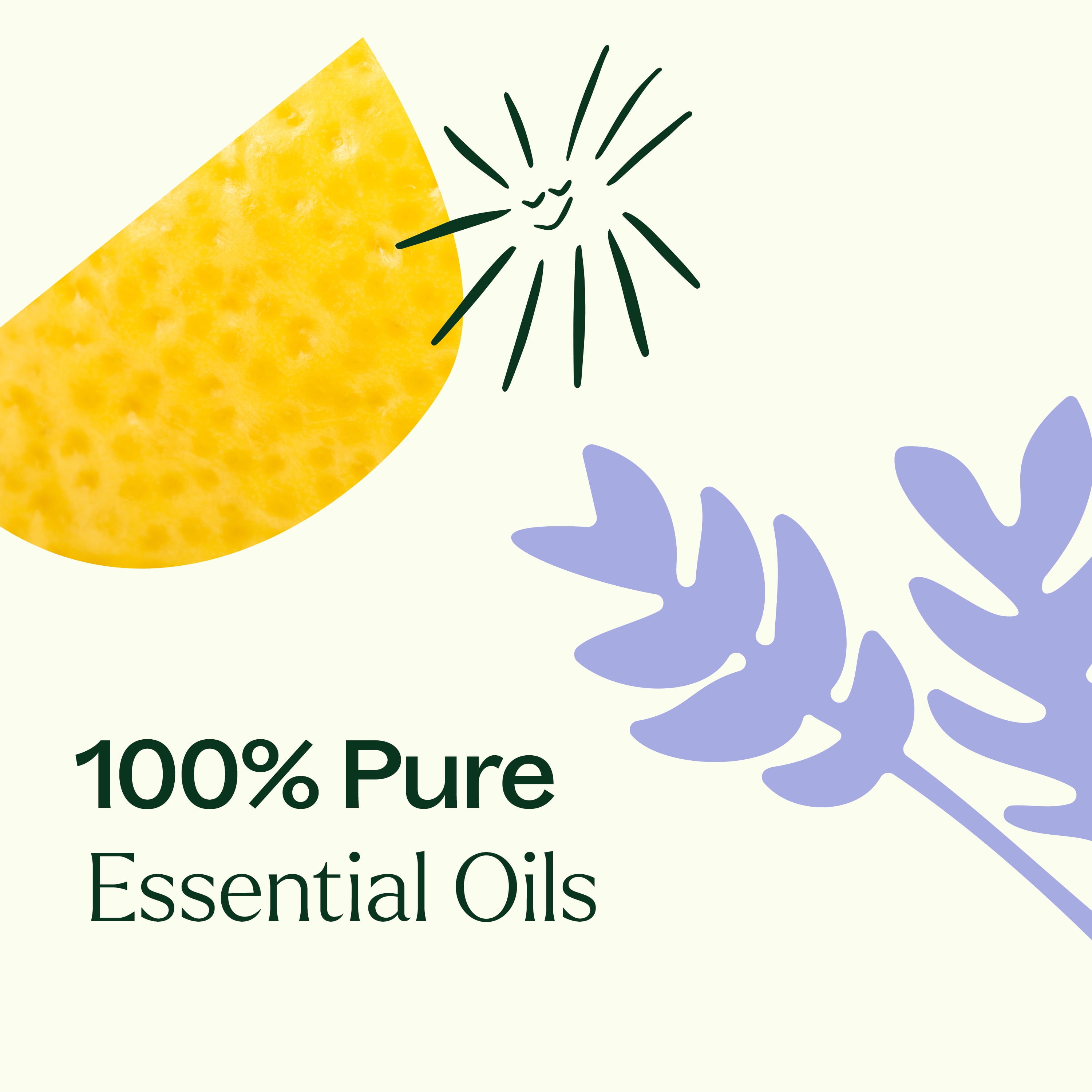 Plant Therapy Breathe Easy Essential Oil Set - Lavender, Eucalyptus, Peppermint, Lemongrass, Orange Sweet, Tea Tree, 100% Pure, Aromatherapy, Therapeutic Grade 10 mL (1/3 oz)