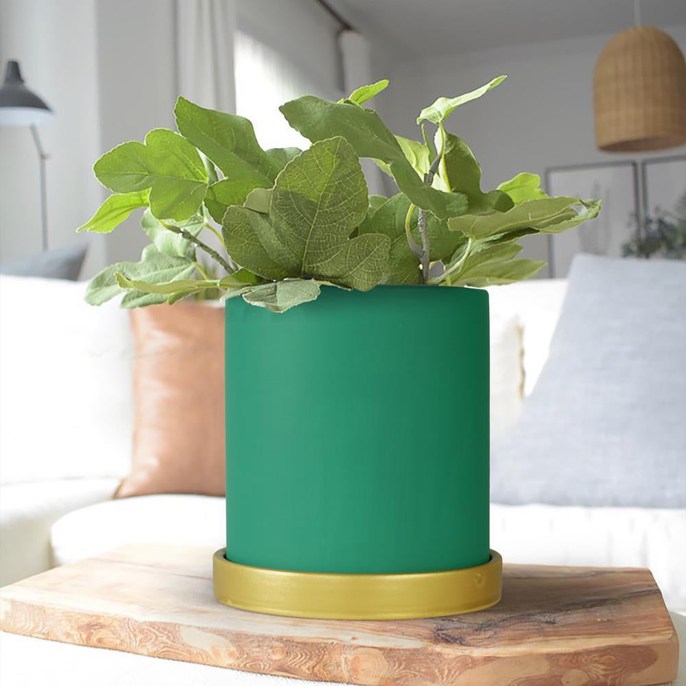 Burgon and Ball Ceramic Cactus Shaped Vase Pot in Green Small or Medium 
