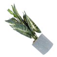 thumbnail image 3 of Artificial Monstera Plant Fake Potted Greenery Bonsai for Home Indoor Outdoor Decoration Realistic Simulation Plant, 3 of 4
