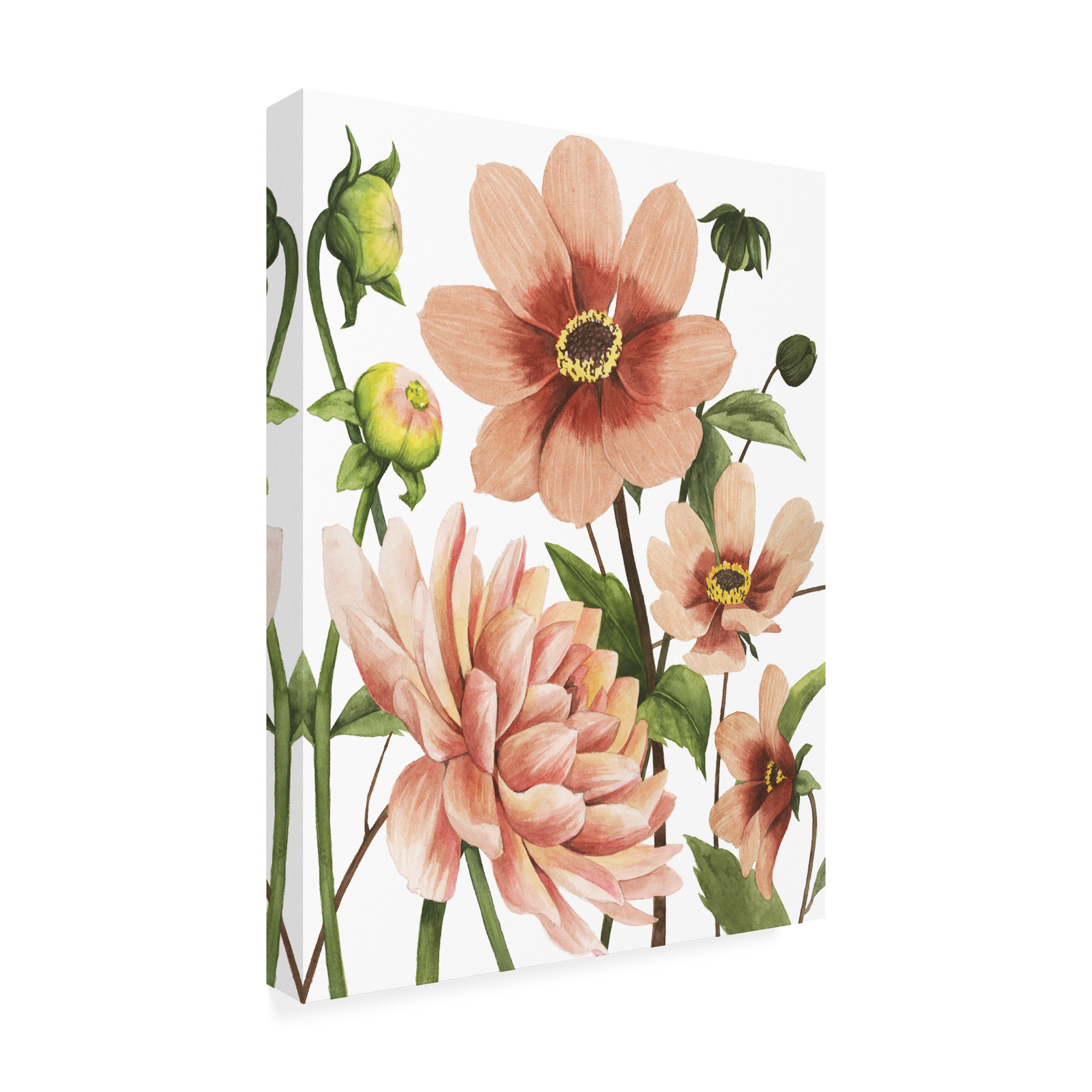 Trademark Fine Art 'Dahlia Spell II' Canvas Art by Grace Popp