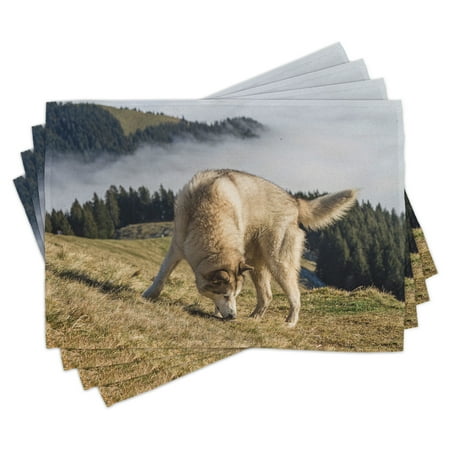 

Alaskan Malamute Placemats Set of 4 Purebred Dog Foggy Mountains Trees Faithful Companion Washable Fabric Place Mats for Dining Room Kitchen Table Decor Pale Brown Dark Green Beige by Ambesonne