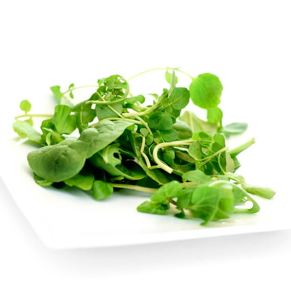 Upland Cress Garden Seeds - 1 Lb Bulk - Non-GMO, Heirloom Vegetable Gardening & Microgreens Seeds
