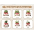 thumbnail image 4 of Maceta colgante sonriente con sistema de drenaje | Maceta con drenaje incorporado para un crecimiento saludable de las plantas, 4 of 9