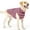 Pink, variant on Small Dog Sweater, Stripes Warm Pullover for Winter Spring Fall, Soft Lightweight Dog Sweatshirt Indoor Outdoor Clothes for Small Medium Dogs Girl Grey XS