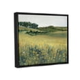 thumbnail image 3 of Stupell Industries Rural Daisy Meadow Nature Painting Black Floater Framed Art Print Wall Art, 21 x 17, 3 of 9