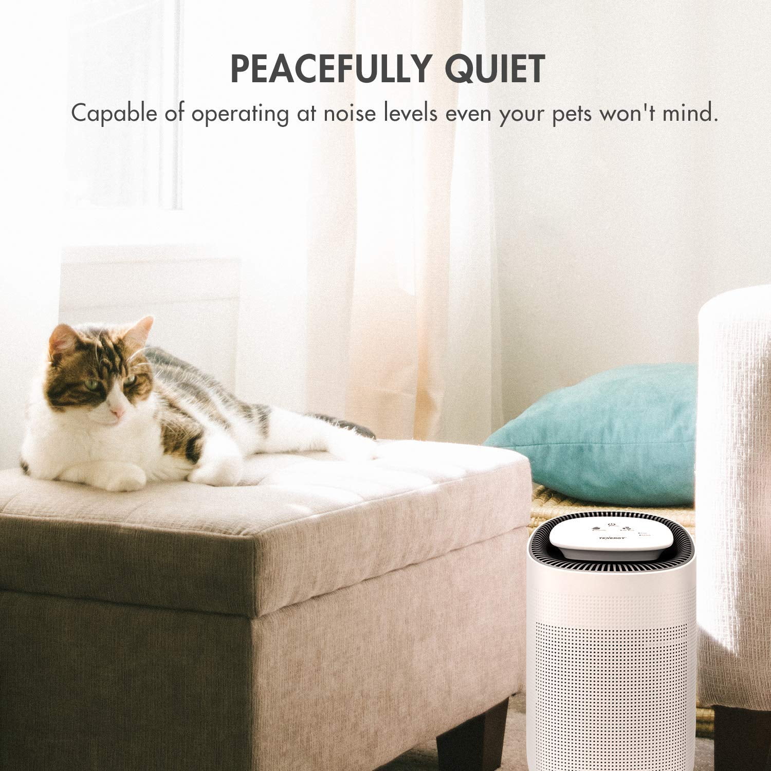 Tenergy Dehumidifier with Automatic Shutoff and HEPA Filter - Moisture and Allergens Control