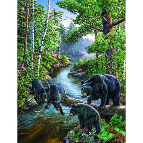 Four Seasons Miiklejohn Graphics Puzzle Collection Waterfall Bear Deer Bald Eagle 750 pc Jigsaw Puzzle 18-1516 X 26-34 Rose Art #97387