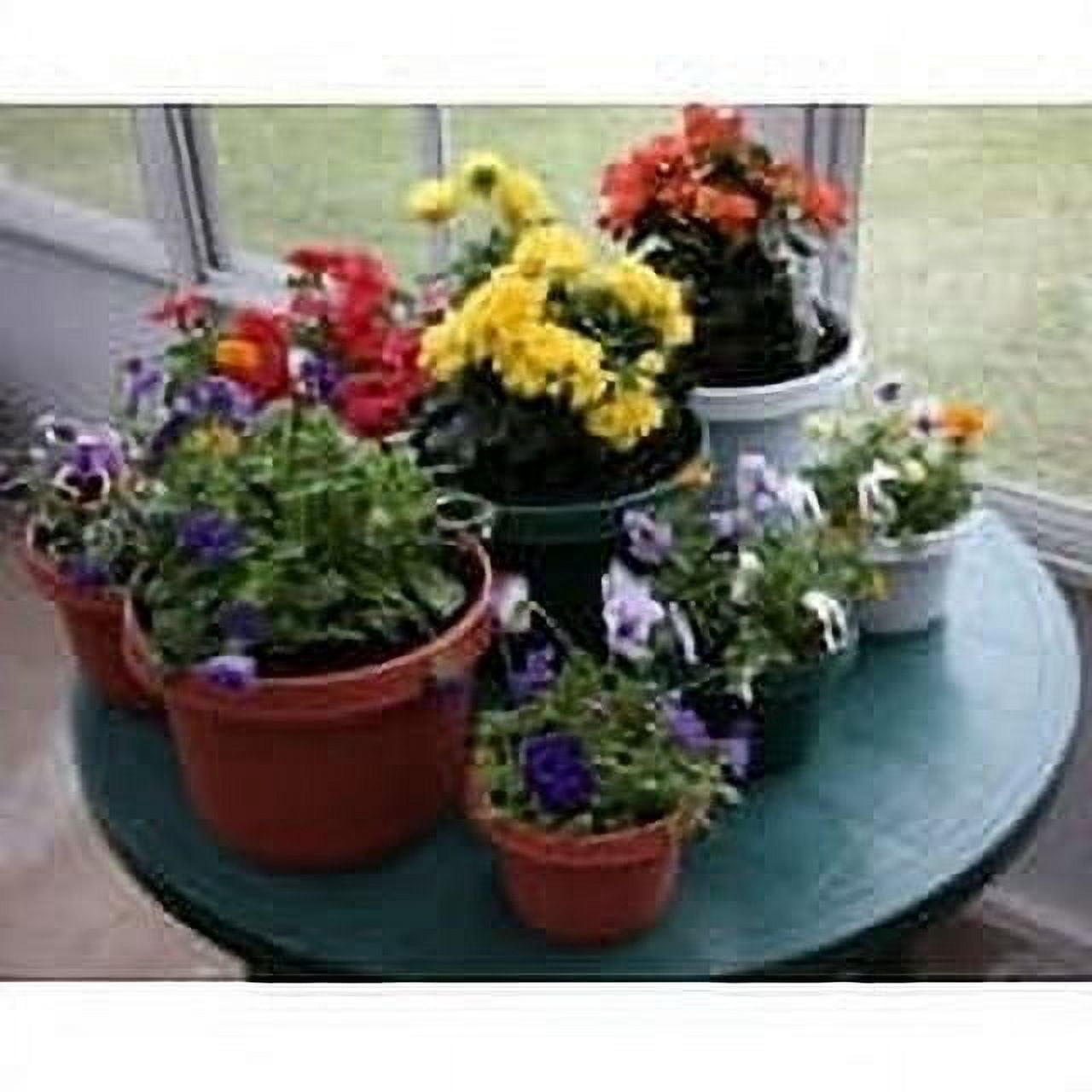 Austin Planter 12 Inch Flower Pot with Saucer Terra Cotta Colored Polypropylene (5 Pack) Made in USA