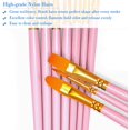 thumbnail image 4 of Paint Brushes Set, 2 Pack 20 Pcs Round-Pointed Tip Nylon Hair Artist Acrylic Paint Brushes for Acrylic Painting Oil Watercolor, Face Nail Art, Canvas, Miniature Detailing & Rock Painting, Blue, 4 of 14
