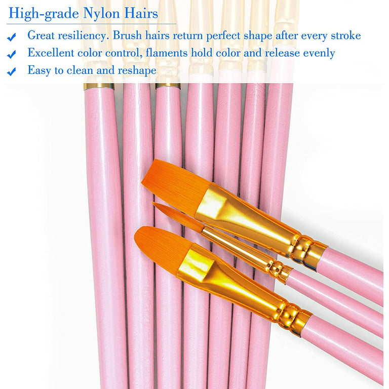 Acrylic Paint Brush Set Bristles Brushes Powder Stick Wood Paintbrush 12Pcs  Pink Nylon Poplar Nylon Wool Aluminum Paintbrush Sets