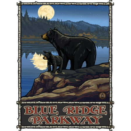 Blue Ridge Parkway Virginia Bears near Lake Mountains Metal Art Print by Paul A. Lanquist (9