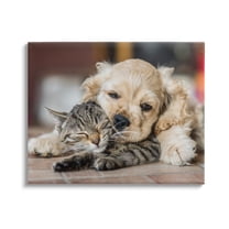 Stupell Industries Cat & Puppy Cuddling Animals & Insects Photography Gallery Wrapped Canvas Art Print Wall Art, 20 x 16
