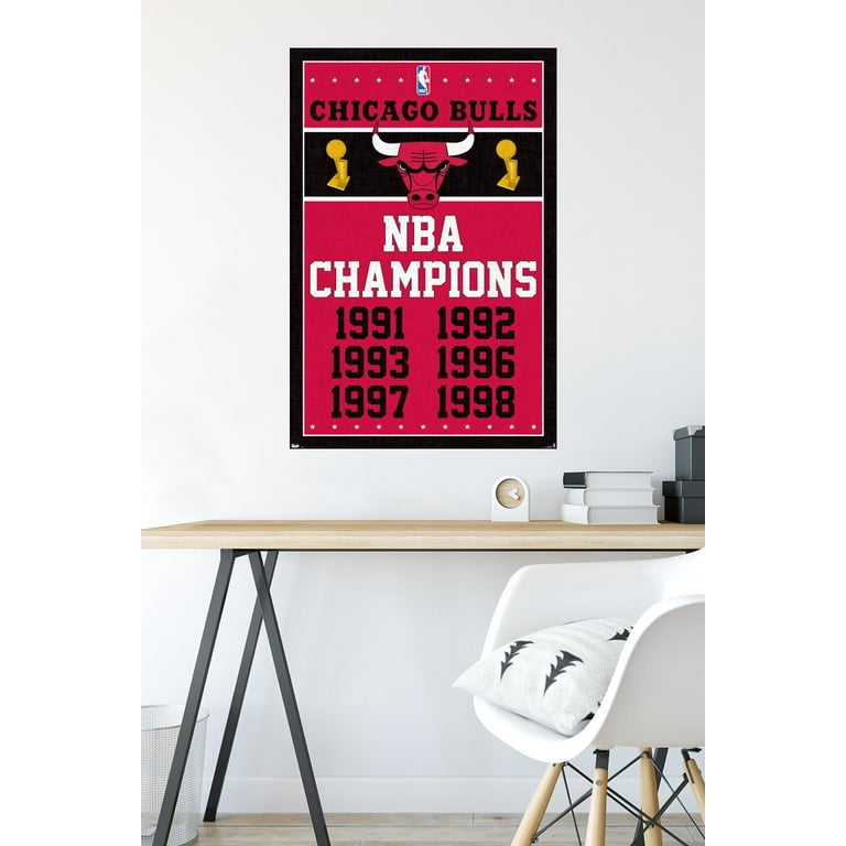 Champion Chicago Bulls NBA Fan Shop