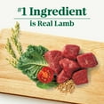 thumbnail image 6 of Nutro Natural Choice Adult Small Bites Dog Food Recipe Lamb & Brown Rice, 12 Lb Bag, 6 of 18
