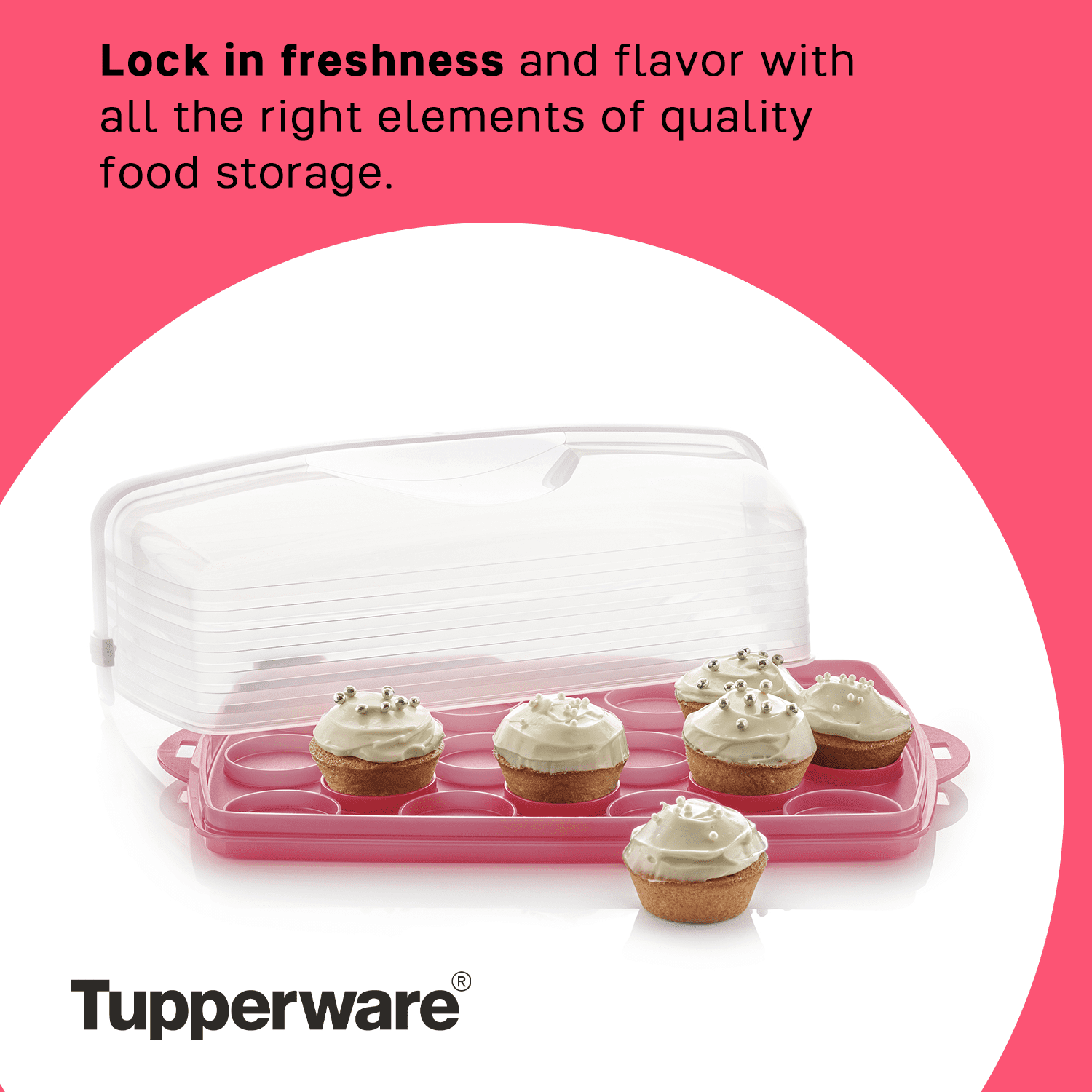 Tupperware 9'' x 13'' Plastic Rectangular Cake and Cupcake Carrier
