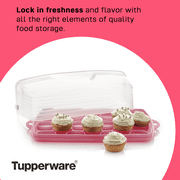 Tupperware 9'' x 13'' Plastic Rectangular Cake and Cupcake Carrier