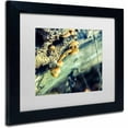 thumbnail image 2 of Trademark Fine Art 'Aged Mushroom' Canvas Art by PIPA Fine Art, White Matte, Black Frame, 2 of 4
