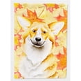 thumbnail image 1 of Carolines Treasures CK1404GF Corgi Fall Flag - Taille Jardin, 1 of 3