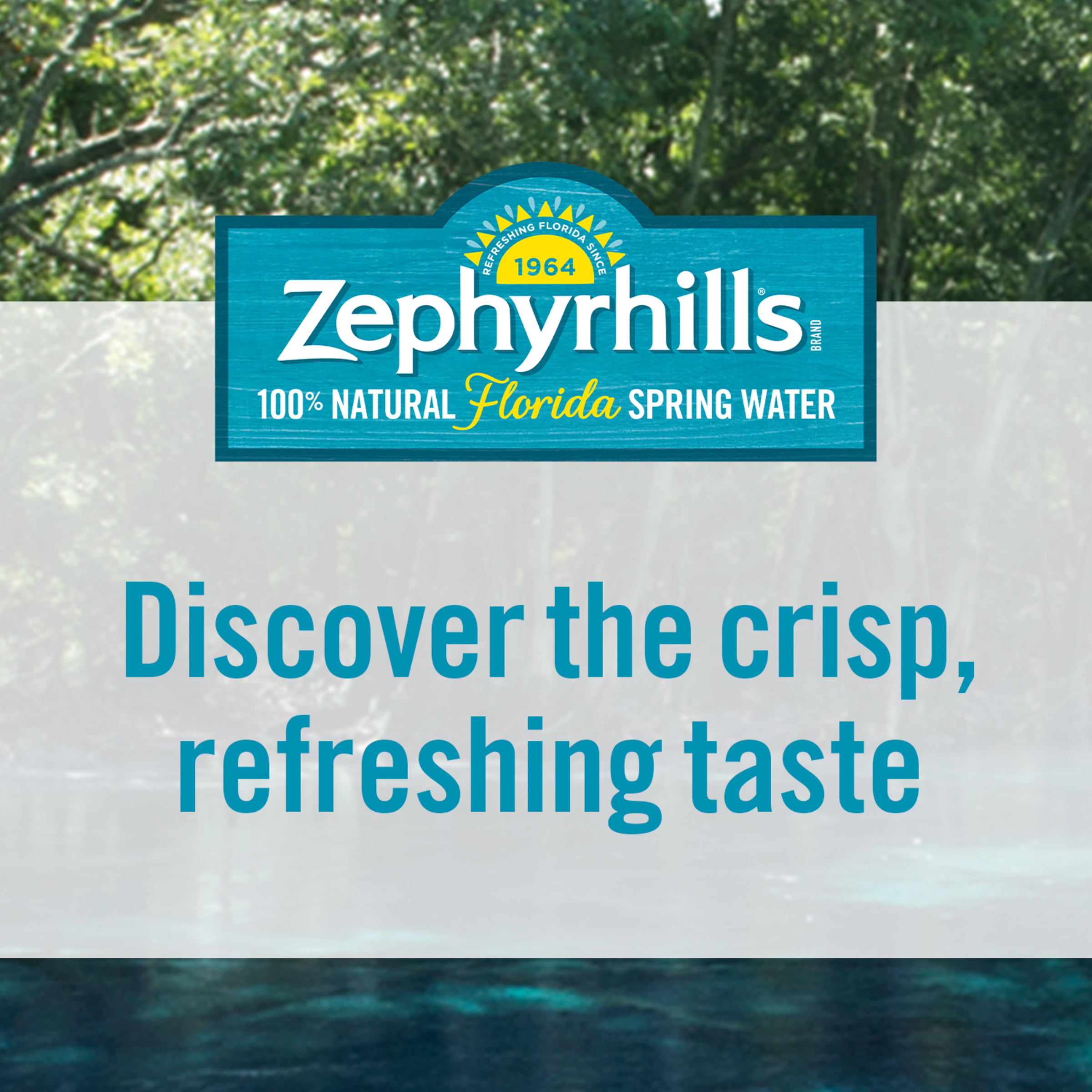 ZEPHYRHILLS Brand 100% Natural Spring Water, 33.8-ounce plastic bottles (Pack of 15) - 1