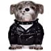 thumbnail image 3 of Pacific Giftware Rocker Bulldog Ceramic Cookie Jar, 3 of 10