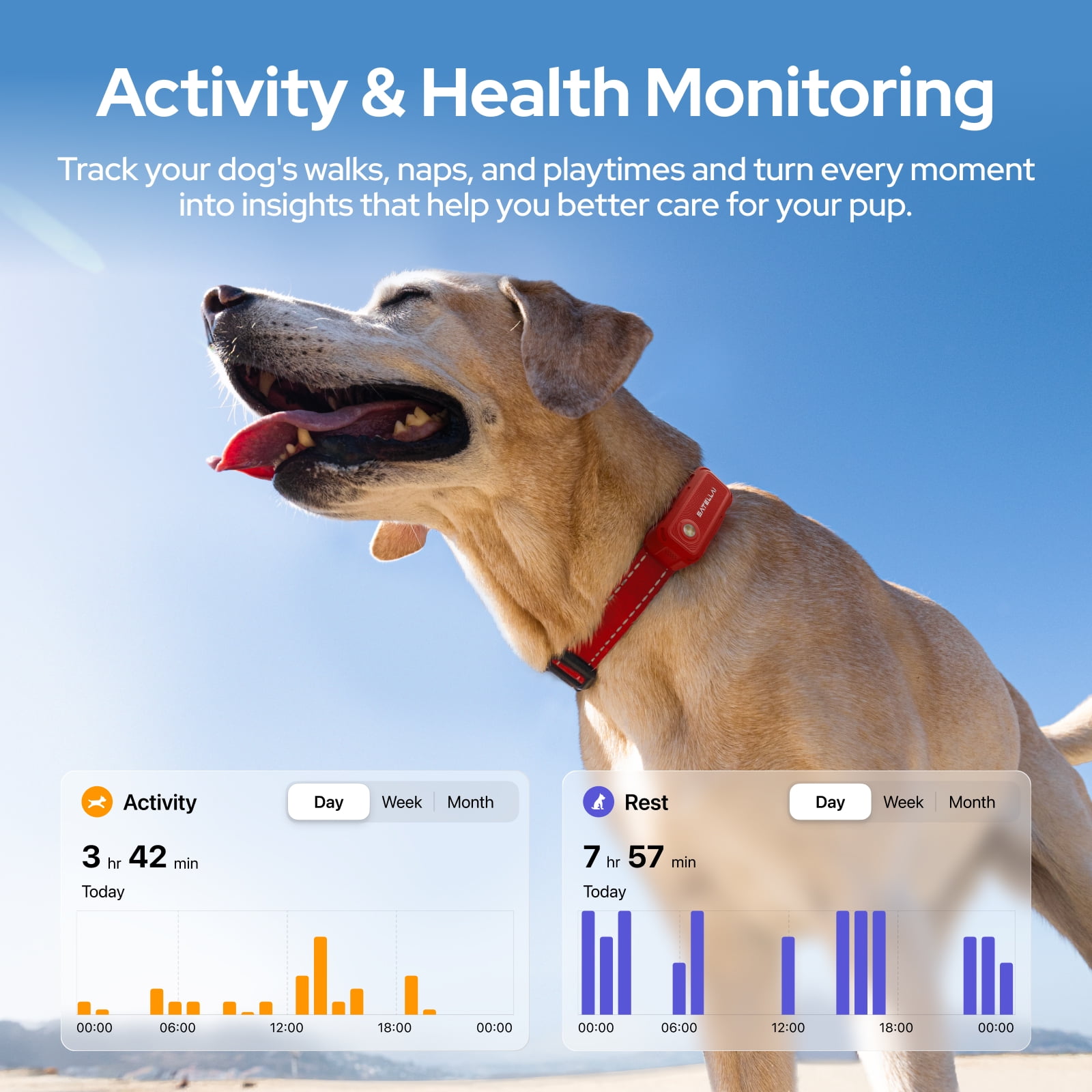 SATELLAI Collar Go, Smart Wireless Fence GPS Dog Collar, Live Tracking & Health Monitoring, 15-Day Max Battery Life(Sandstone Beige), M(13"-18")