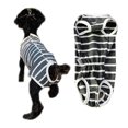 thumbnail image 1 of Pet Surgery Recovery Suit, Breathable and Comfortable, Anti-Licking Design, Polyester Fabric, Post-Surgery Mobility Booster, Unisex Pets, 1 of 7