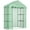 Green#2, variant on Outdoor Lighting Outsunny 5' x 2.5' x 6.5' Mini Walk-in Greenhouse Kit, Portable Green House with 3 Tier Shleves, Roll-Up Door, and Weatherized PE Cover for Backyard Garden, Green,Outdoor String Ligh
