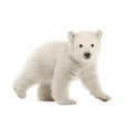 thumbnail image 2 of Polar Bear Cub Wall Mural by Wallmonkeys Peel and Stick Graphic (24 in W x 18 in H) WM190660, 2 of 4