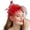 02_RD1, variant on QUOTAY Womens Hats Plush Fascinator Hat Tea Party Wedding Headwear Fashion Headbands for Women Z02_RD1,One Size