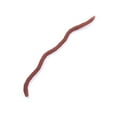thumbnail image 2 of Señuelo Suave Gusano 50 Uds. Cebo Pesca Lombriz Camarón Lubina (8cm Marrón) Rojo, 2 of 9