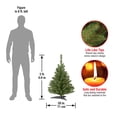 thumbnail image 4 of National Tree Company Artificial Mini Christmas Tree, Green, Kincaid Spruce, Includes Stand, 3 Feet, 4 of 5