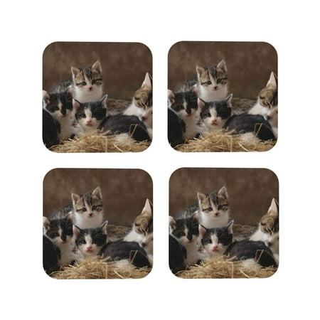 

Tideii Cat Family for Leather Coasters 4 Pieces Anti-fouling and Anti-scalding Decorative Coasters Suitable for Restaurants Kitchens Coffee Shops-Square