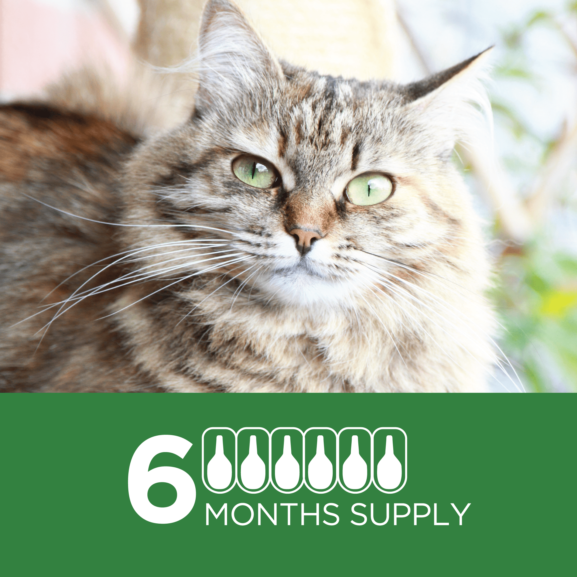 TevraPet Actispot II Flea Treatment for Large Cats 9+ lbs, Monthly Topical, 6 Count