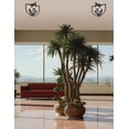 thumbnail image 3 of Dainolite PLA-154FH-MB Pamela 4 Light 15" Wide Semi-Flush Ceiling Fixture - Black, 3 of 3