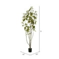 thumbnail image 3 of Vickerman 5' Artificial Green Potted Cotinus Coggygria Tree., 3 of 8