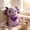 Purple-Free Size, variant on Smiling Salamander Plush Doll, Soft Cartoon Animal Figure, Hugging Decorative Plush for Home and Room Display, Ki*ds Room Accent, Collectible Soft Toy