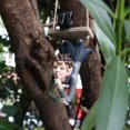 thumbnail image 1 of Top Pick, Resin Crafts For Inverted Hanging Parts In Zhiyuan Garden, Resin Akmoler, 1 of 7
