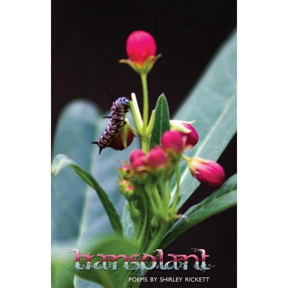 Transplant (Paperback)