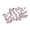 Rose, variante sur GUOOL 100x Perles de Fleurs Artisanat Fait Main Breloques de Perles de Fleurs Transparentes Perle Florale Claire