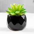 thumbnail image 2 of Artificial Succulent Plant Mini - Plastic Greenery Decoration Faux Potted Plant, 2 of 5