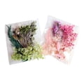 thumbnail image 2 of Flores prensadas secas,Flores prensadas secas para manualidades Resina epoxi,Flores secas prensadas Jabón para uñas Fabricación de velas,Decoraciones florales Scrapbooking DIY, 2 of 8