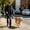 Black, variant on Dog Poop Scooper with Bag Holder, Telescopic Long Handle Pet Waste Pickup Tool for Outdoor Walks, No-Touch