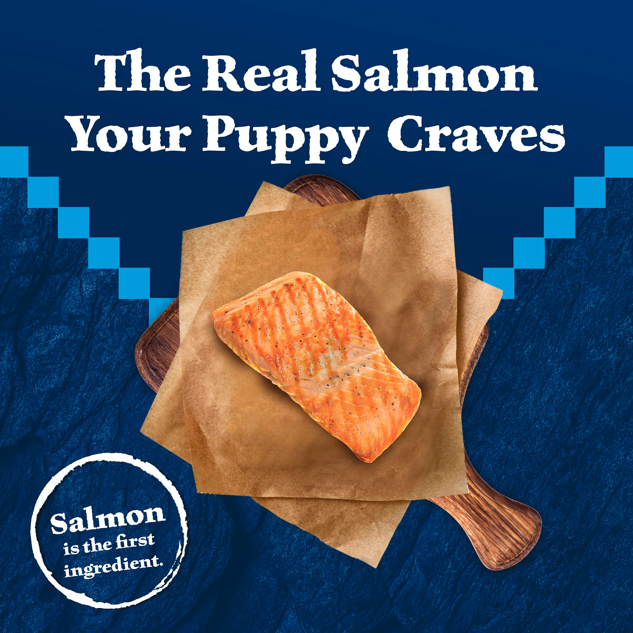 Blue Buffalo Wilderness High-Protein Salmon Puppy Dry Food photo 3